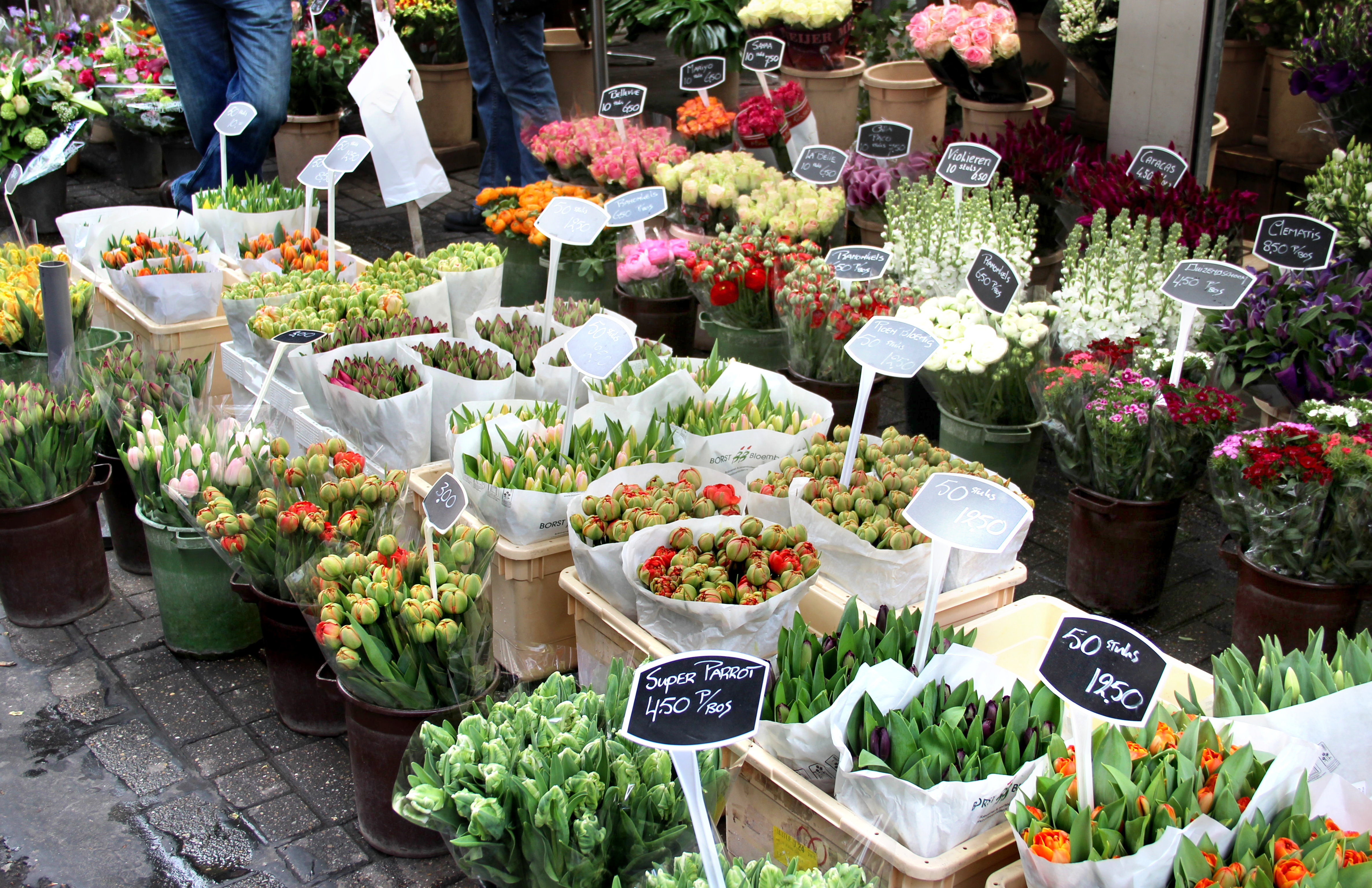 Unser Blumenangebot